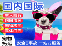 成都机场快运国际宠物托运 【国